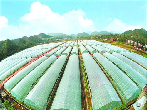 空气能热泵如何给植物养殖创造环境？